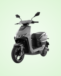 Walton Electric Bike TAKYON 1.00 (26 Ah)