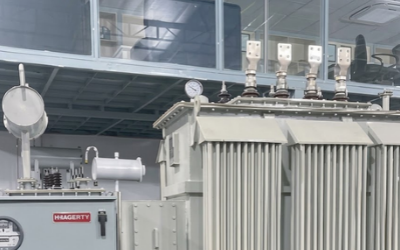 Oil-Immersed Distribution Transformer (100 kVA–3150 kVA)