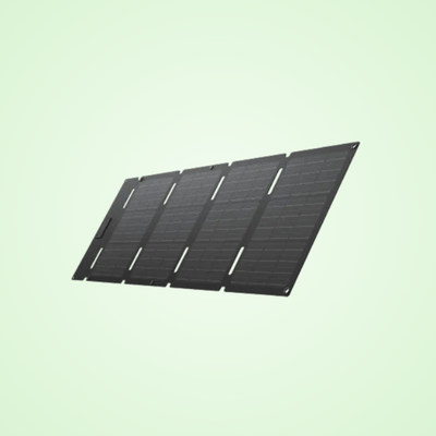 EcoFlow 60W Portable Solar Panel